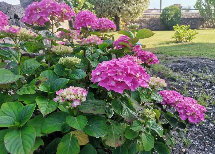 Casona Caballeros Hotel