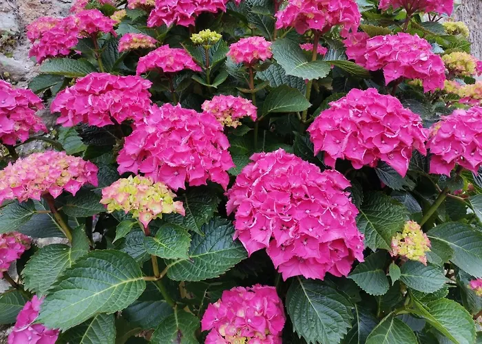 Hotel Casona Caballeros