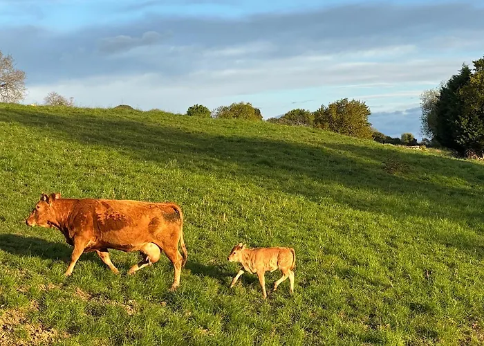 Casona Caballeros Hotel 4*