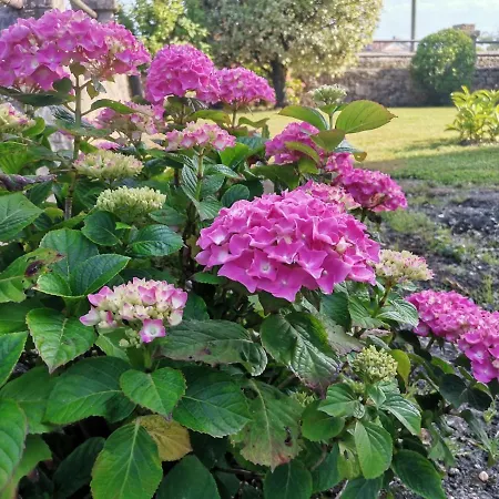 Casona Caballeros Hotel