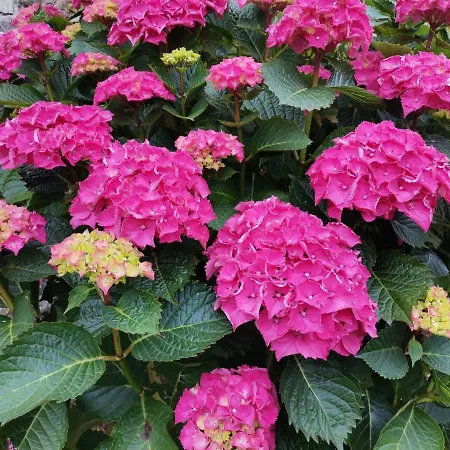 Hotel Casona Caballeros