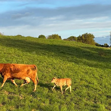 Casona Caballeros Hotel 4*